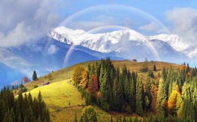 國際旅行社注冊及經營國內旅游業務指南