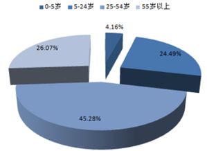 2017-2022年中國旅游電子商務市場運行態勢與投資策略分析報告 聚焦國內旅游業務經營